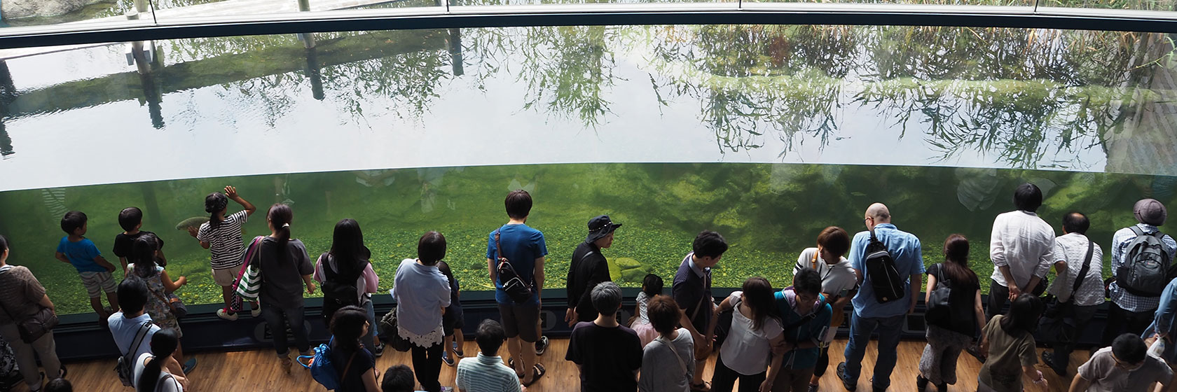 利用案内 | 滋賀県立琵琶湖博物館